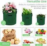 Ohiyoo 5 Pack 10 Gallon Potato Grow Bags with Window, Handles, Felt Nonwoven view 6