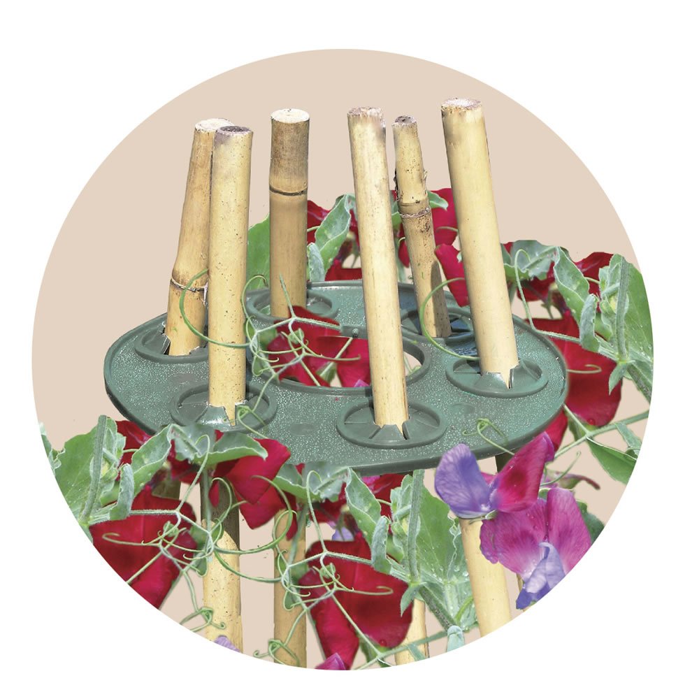Discos de sujeción para tutores / plantas Garland (2x): Amazon.es ...