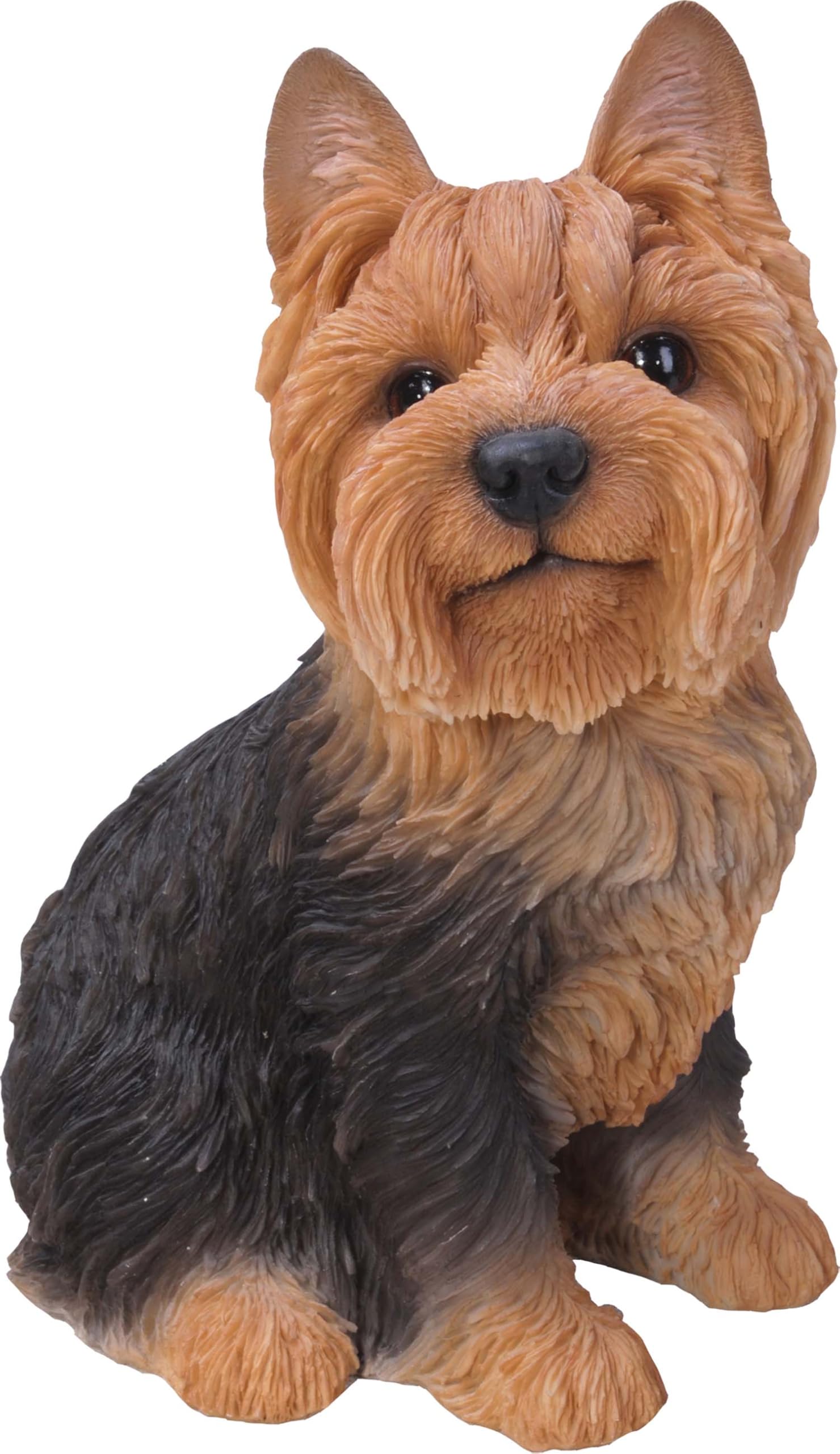 Vivid Arts - Real Life Sitting Yorkshire Terrier Home or Garden Decoration (XRL-YKTS-B)