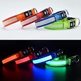 MASBRILL Light Up Dog Collar LED USB Rechargeable Green S view 2