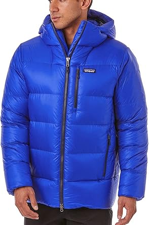 patagonia m's fitz roy down hoody