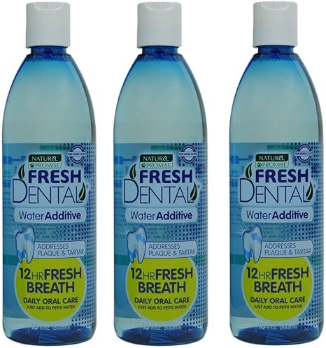 naturel promise fresh dental clean gel