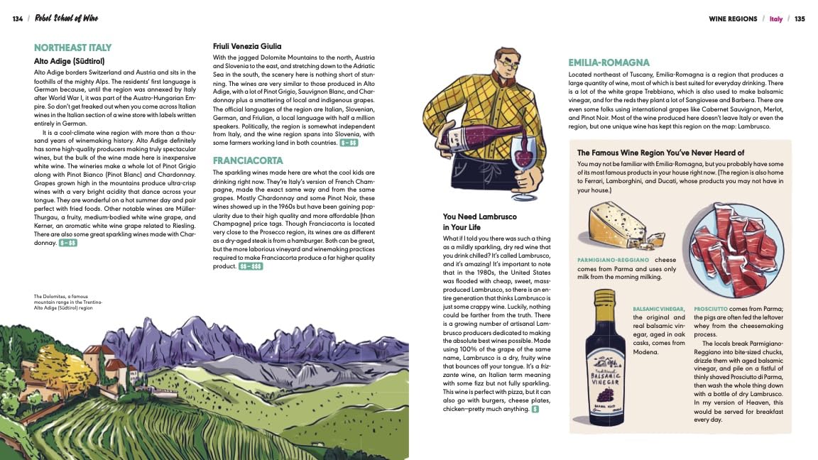 Rebel School Of Wine: A Visual Guide to Drinking with Confidence