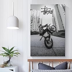 Stussy Bike Poster Aesthetic Racer Biker Driver