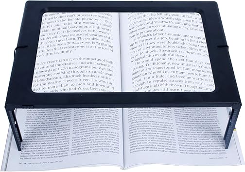 lighted full page magnifier