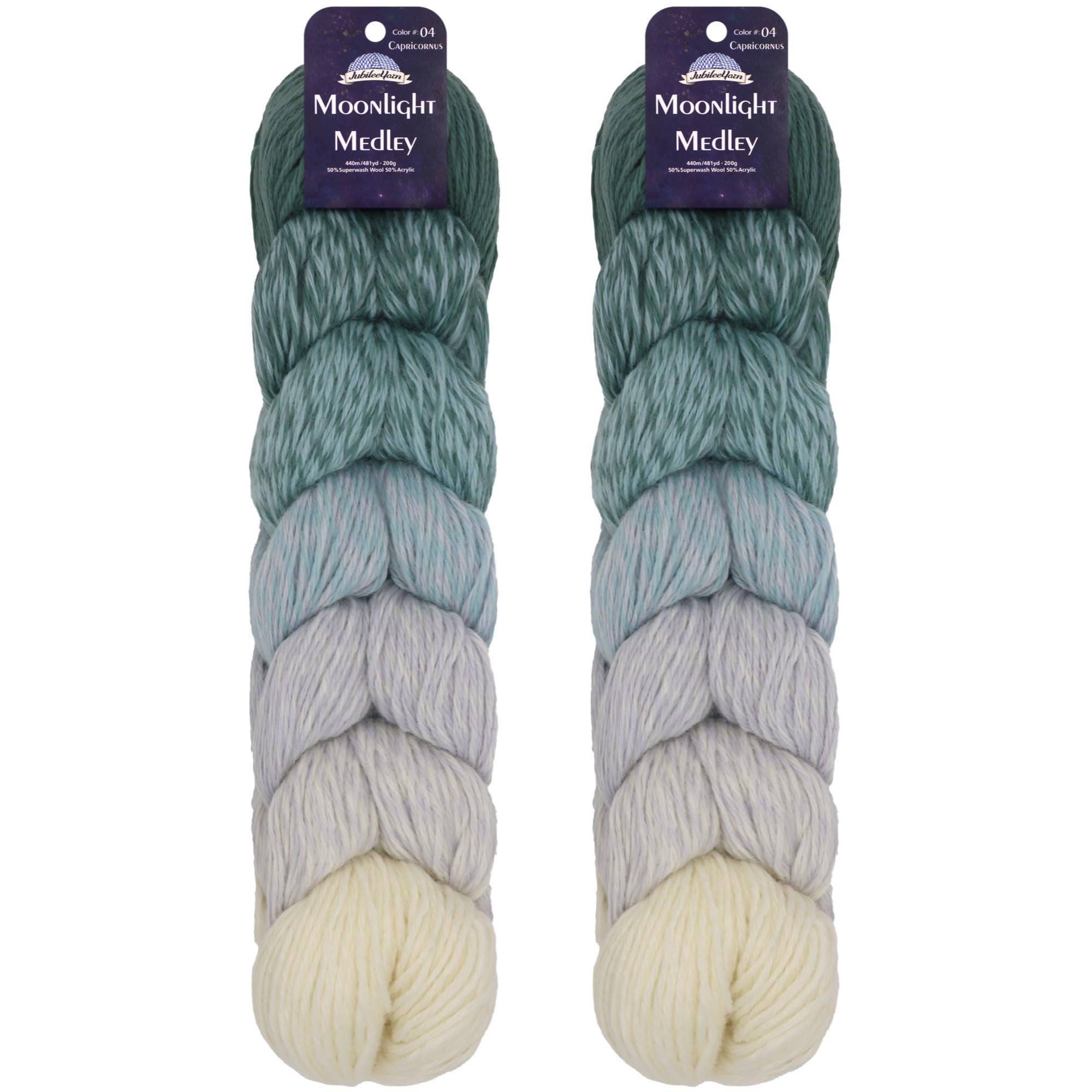 JubileeYarn Moonlight Medley Yarn - Ombre DK Weight Merino Wool/Acrylic - 200g/Hank - Pisces - 2 Skeins