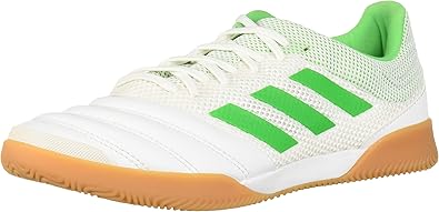 adidas copa futsal 19.3