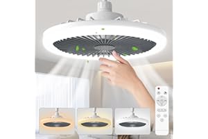 Biukis Socket Ceiling Fan with Light: 10 Inch Enclosed Ceiling Fan with Light and Remote 3 Colors Infinitely Adjustable for Indoor Bedroom Bathroom Garage Grey