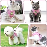 Grantop Cat Harness and Lead Set Adjustable Reflective Mesh Vest for Cats view 7