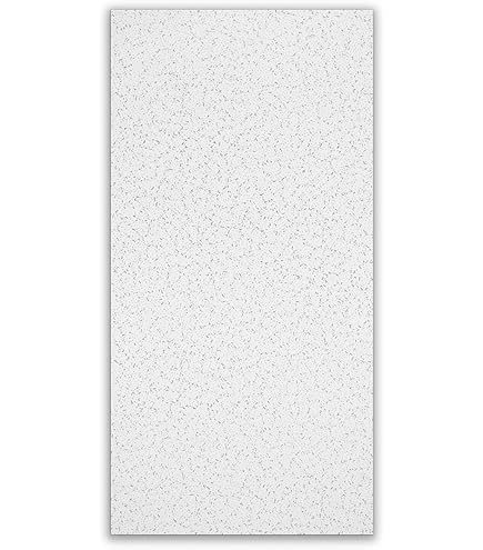 CORTEGA 769 Acoustic Ceiling Tiles - 2x4, 12 White Tiles for