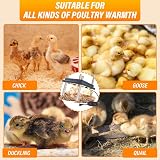 BURNTOP Chick Brooder Heating Plate 10x10 Adjustable Height Angle 55C Black view 7