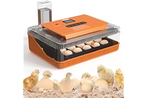 DAQA Incubators for Hatching Eggs, Egg Incubator with Automatic Egg Turning and Humidity Control. Egg Candler, and DayCounter for Chicken, Duck, and Quail Eggs Hatching for Nice Gifts, Incubadora de Huevos