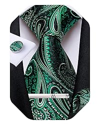 DiBanGu Silk Paisley Ties for Men Woven Necktie and