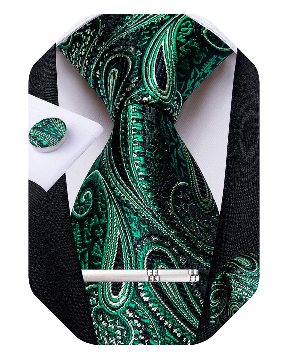 DiBanGu Silk Paisley Ties for Men Woven Necktie and
