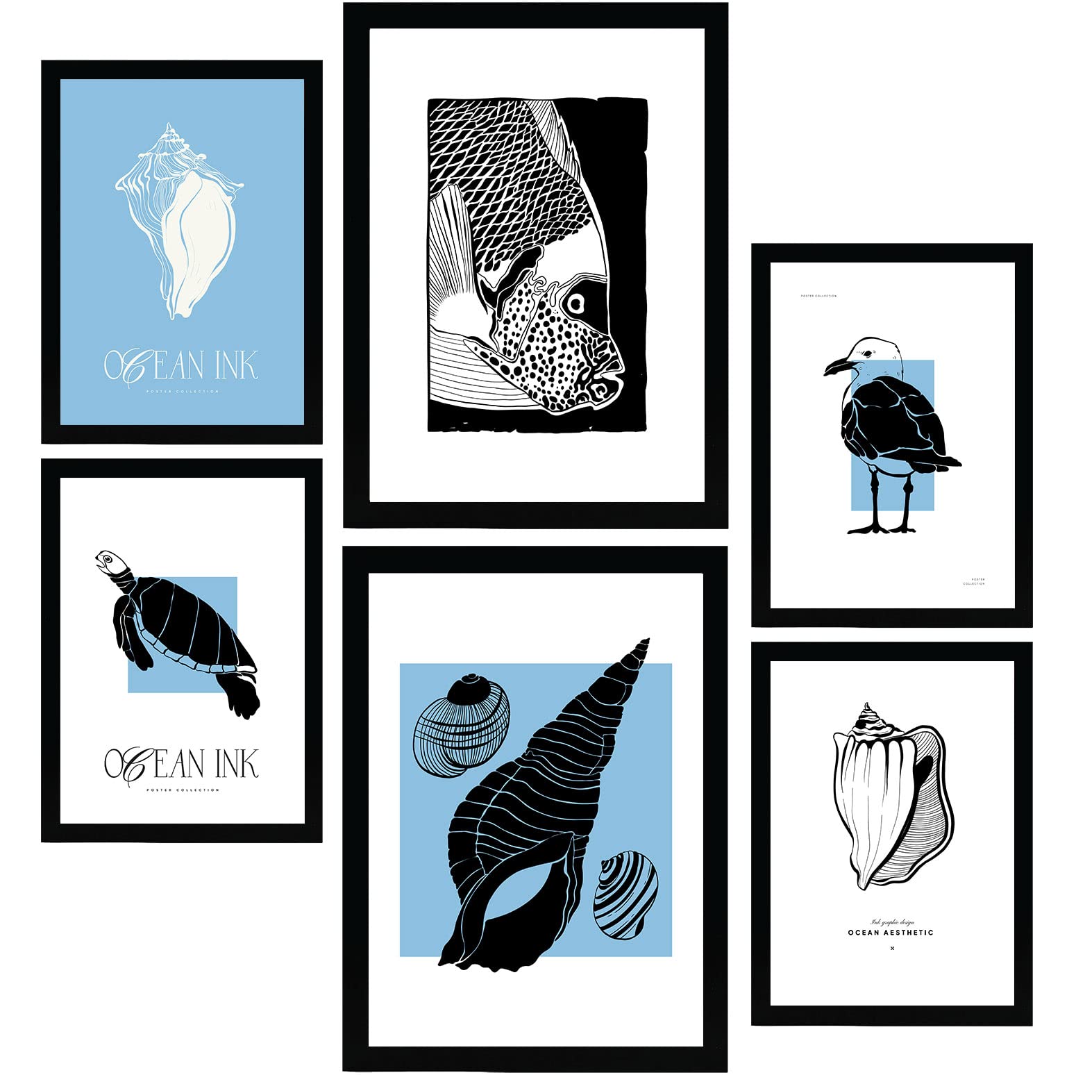 Nacnic Set of 6 Thick Black Ink Posters. Seashells. Artistic Marine Aesthetic Wall Art Prints for Interior Design and Decoration. Sizes A3 & A4. Unframed.
