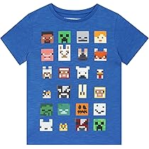 Minecraft Boys Short Sleeved Black T-Shirt 11-12 Years : Amazon.ca