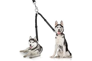 YAODHAOD Double Dog Leash,Two Dog Leash Splitter, No Tangle 360° Swivel Rotation Reflective Lead, Adjustable Length Bungee Heavy Duty Walking Training Dual Extension (Black)