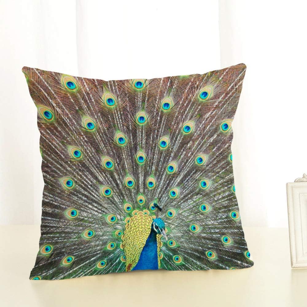 LIUWAN Peacock Feather Waist Cushion Print Cotton Hemp Pillow Case 5