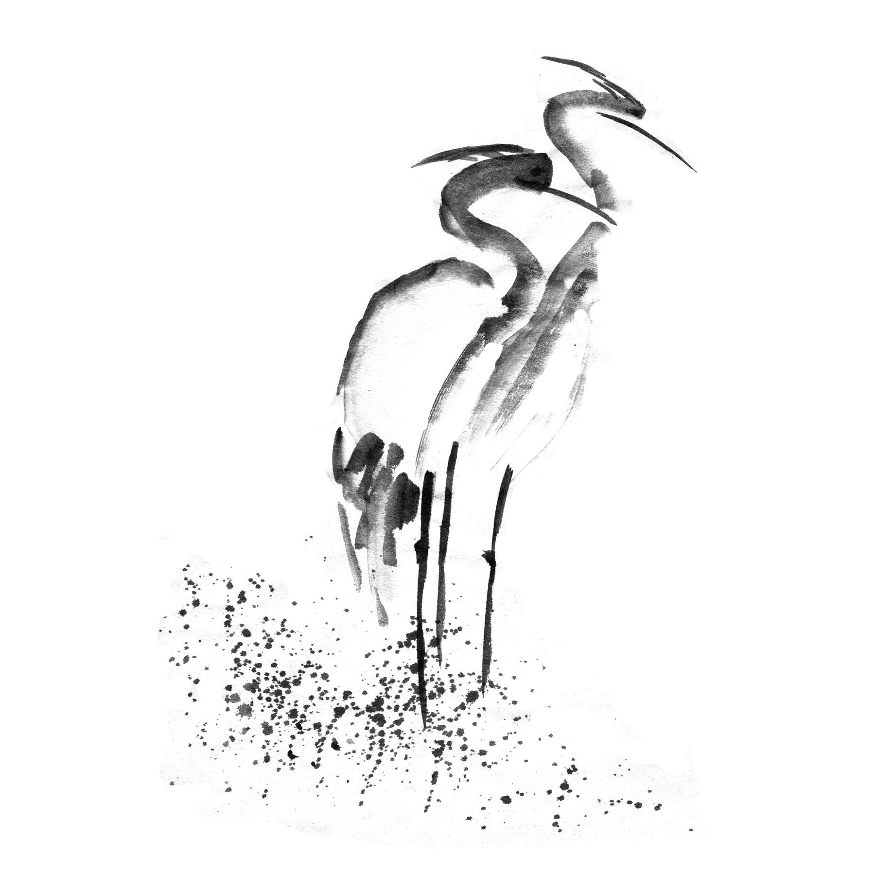 Wee Blue Coo Heron Ink Drawing Large Wall Art Print Canvas Premium Poster