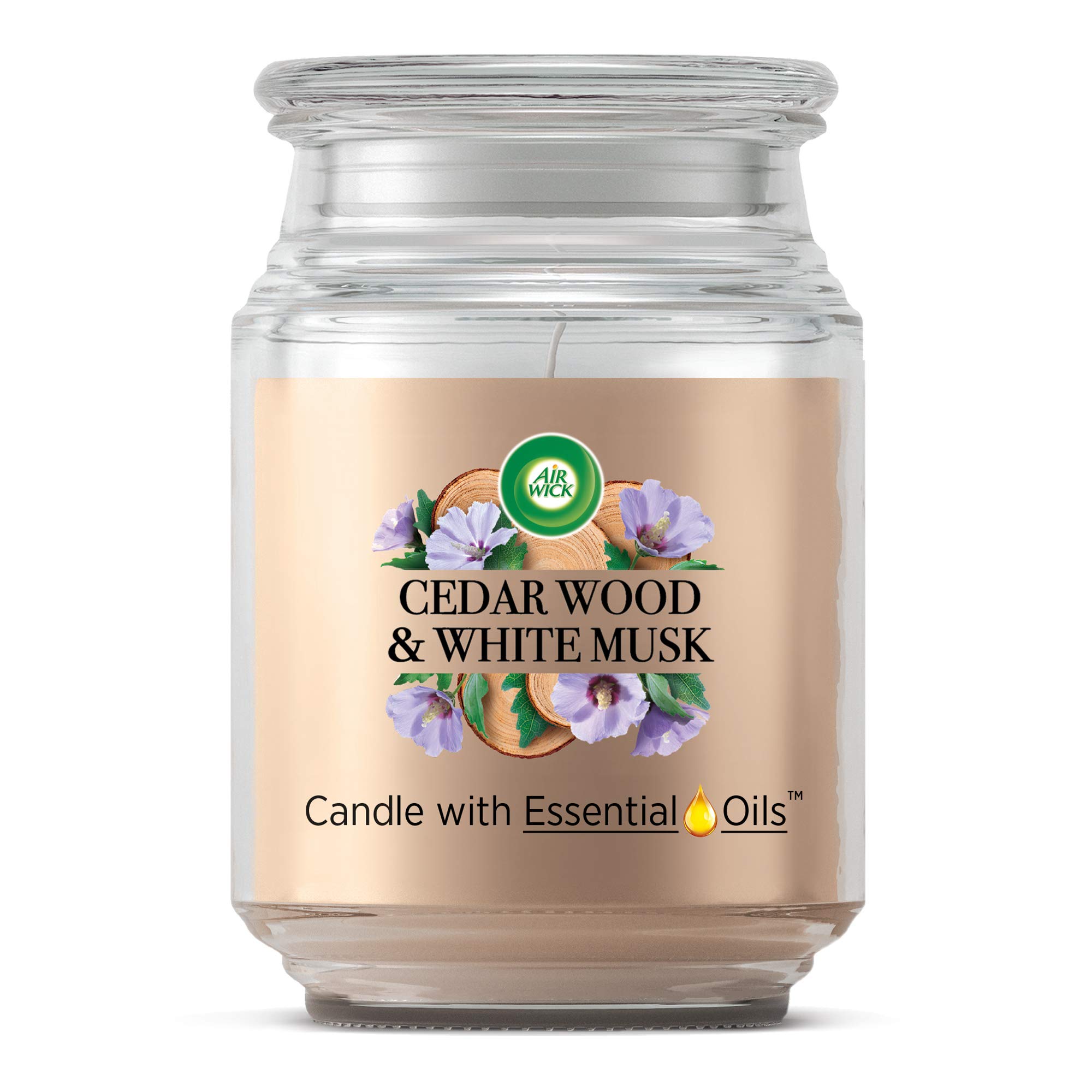 Airwick Air Freshener XL Candle Cedar Wood & White Musk, Up to 85 Hours Burn Time