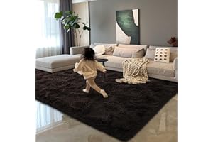 HOMORE Dark Brown Rugs for Bedroom, 4x6 Feet Fluffy Area Rug Modern Shag Rugs for Living Room, Super Soft Non Slip Rug for Kids Room, Cute Rugs for Children Nursery Dorm Home Decor