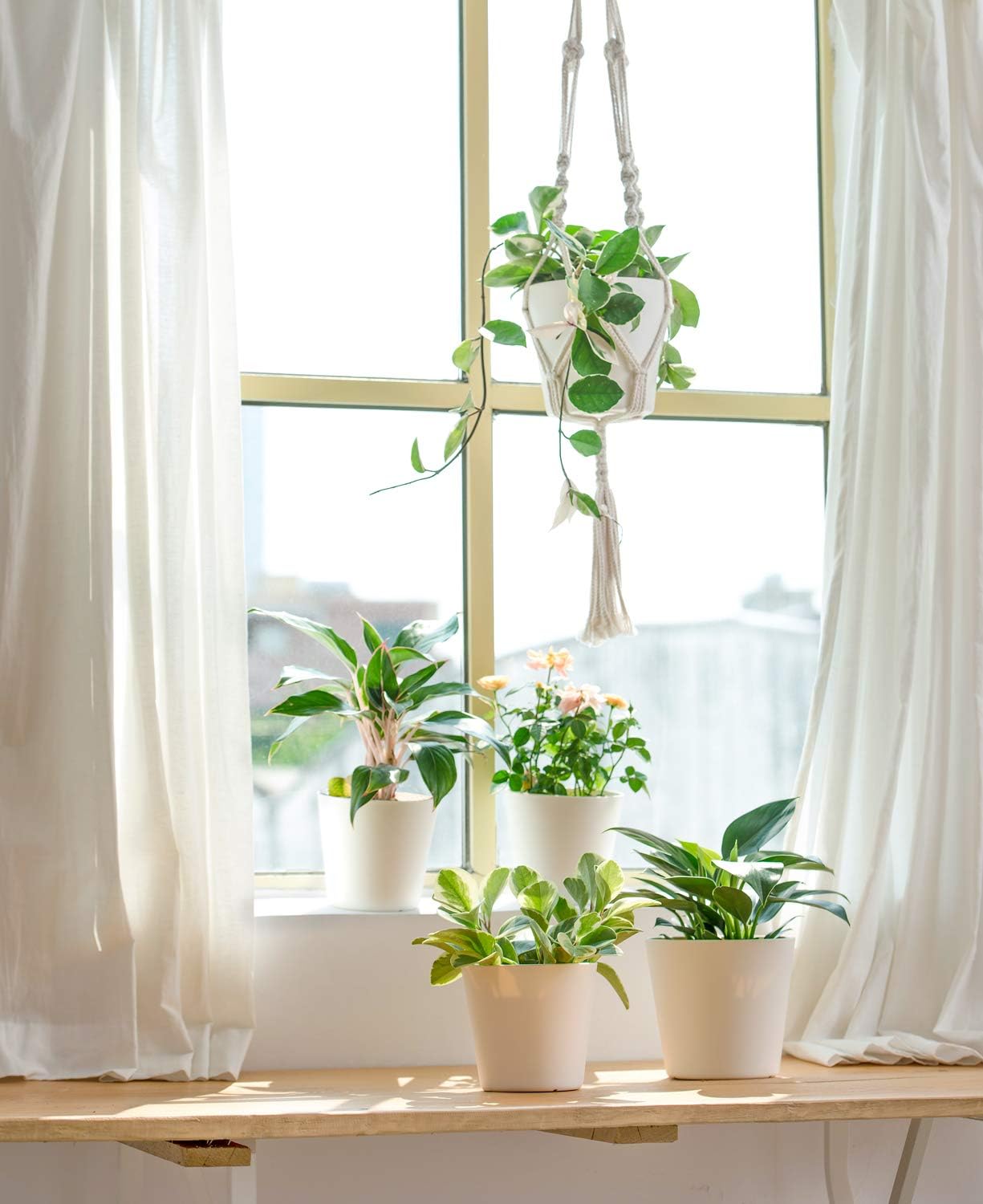 Mkono 6.5" Plastic Planters with Trays, Indoor Set of 5 Flower Plant Pots Modern Decorative Gardening Pot with Drainage Hole for All House Plants, Herbs, Foliage Plant, and Seed Nursery, Cream White: Garden & Outdoor