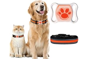 WNRFG GPS Tracker for Dogs & Cats - No Monthly Fee, Waterproof Real-Time Tracking Collar for Pets, Kids,Luggage & Assets | 365-Day Battery Life | iOS & Android Compatible | Anti-Lost Device