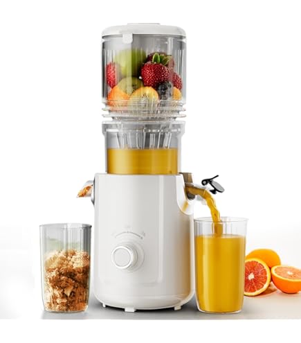 Amazon.com: Zasmira Cold Press Juicer Machines SJ30: Home & Kitchen