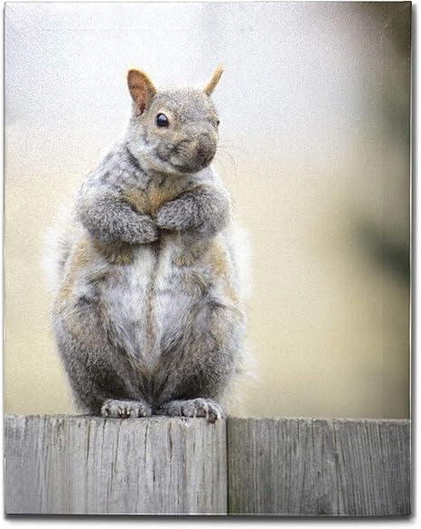 Amazon Co Jp アートパネル キャンバス油絵 ポスター 絵画 リス グレー かわいい キャンバス 絵 壁インテリア インテリア絵画 壁掛け 木枠 フック付き アートポスター 飾り絵 玄関 レストラン 寝室 壁画アート 現代アートフレーム 祝い ギフト 35x35cm ホーム キッチン