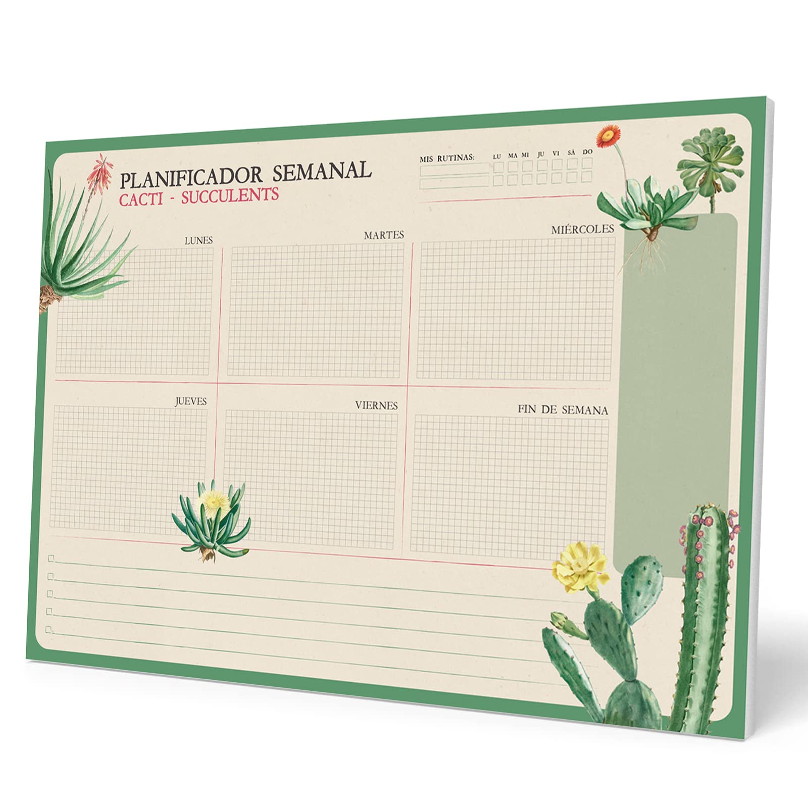Grupo Erik Weekly Planner A4 In Spanish - Botanical Cacti | Undated Daily Planner Family, Desk Calendar, 54 Tear Off Pages Notepad | Cute Stationery Gifts, Spanish Gifts Uner 10 Pounds
