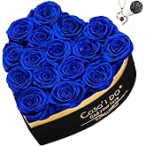 Casaido Preserved Roses Flowers for Delivery 16 Pcs, Vanlentines Day Gifts for Her, Forever Flores in Heart Box with Necklace, Anniversary Birthday Christmas Rose Gift for Women Wife Girlfriend, Blue
