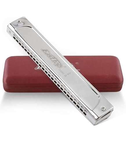 Amazon.com: Hohner M7332017 Unsere Lieblinge Harmonica, Key of C 