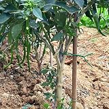 tenn well Garden Wire 3.5mm 16M Green Plant Twists Cables Vines Support view 6