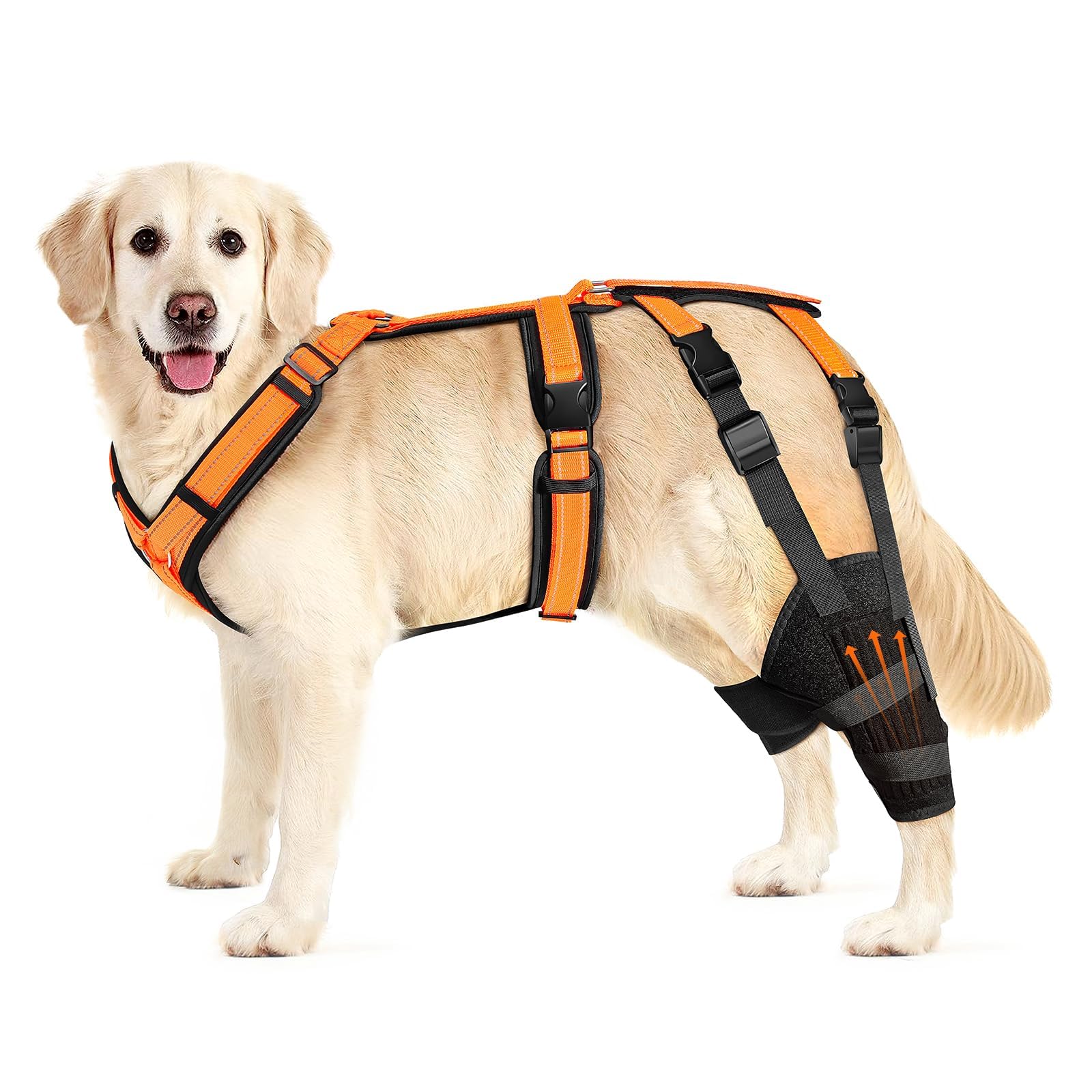 Photo 1 of Heylaca Dog Knee Brace with Harness Adjustable Dog ACL Knee Brace for Luxating Patella, Cruciate Ligament Injury and Joint Pain, Rear Leg Braces for Medium & Large Breeds (Suitable for 50-65 LBs Dogs)