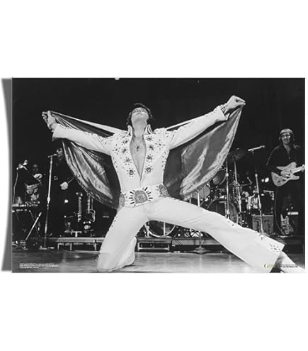 Amazon.com: Elvis Presley by the gates of Graceland Photo Print