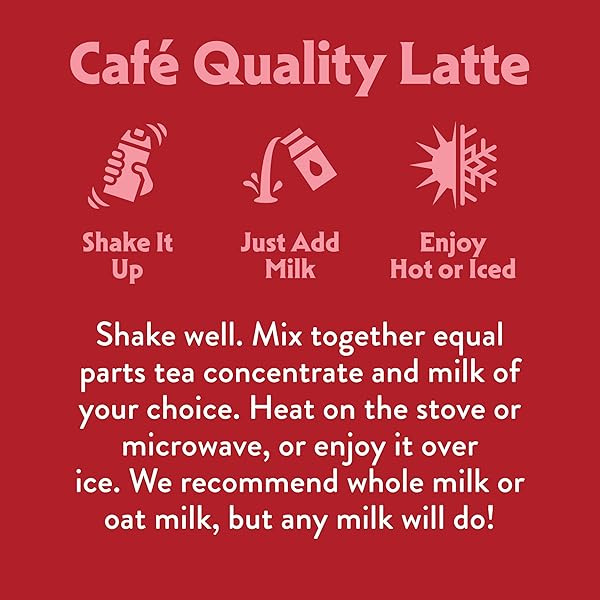 STASH DOUBLE SPICE CHAI LATTE – DAIRY FREE PLANT BASED TEA CONCENTRATE – CAFFEINATED – 32 FL OZ, 5 SERVINGS