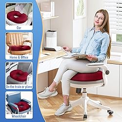 CloudBliss Donut Pillow Seat Cushion Chair Pad for
