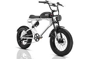 48V 20Ah Electric Bike for Adults, 1200W Peak Fat Tire Ebike, 43-100 Miles Long Range, 31MPH Top Speed, 20"x4.0" Off-Road Ele
