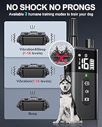 No Shock Dog Training Collar with Remote, Dog