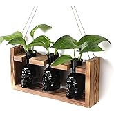 Plant Terrarium Propagation Stations Hydroponics Halloween Skull Planter Vase Skulls Decor with Wooden Stand Gife for Father