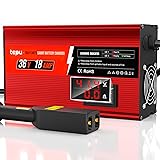 New Upgrades 36 Volt 18 Amp Golf Cart Battery