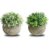THE BLOOM TIMES 2 Pcs Fake Plants for Bathroom/Home Office Decor, Small Artificial Faux Greenery for House Decorations (Potted Plants)