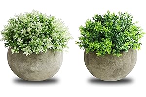 THE BLOOM TIMES 2 Pcs Fake Plants for Bathroom/Home Office Decor, Small Artificial Faux Greenery for House Decorations (Potted Plants)