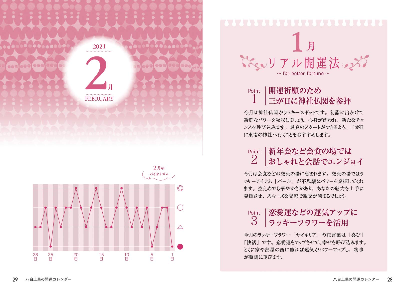 21年版 八白土星 九星運勢占い Amazon Com Books