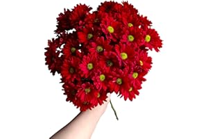 WANGBINYU 20 Fresh Cut Red Daisy Flowers Hydroponic Flower Arrangement With Long Flowering Period Gifts For Home Decoration Birthdays Anniversaries