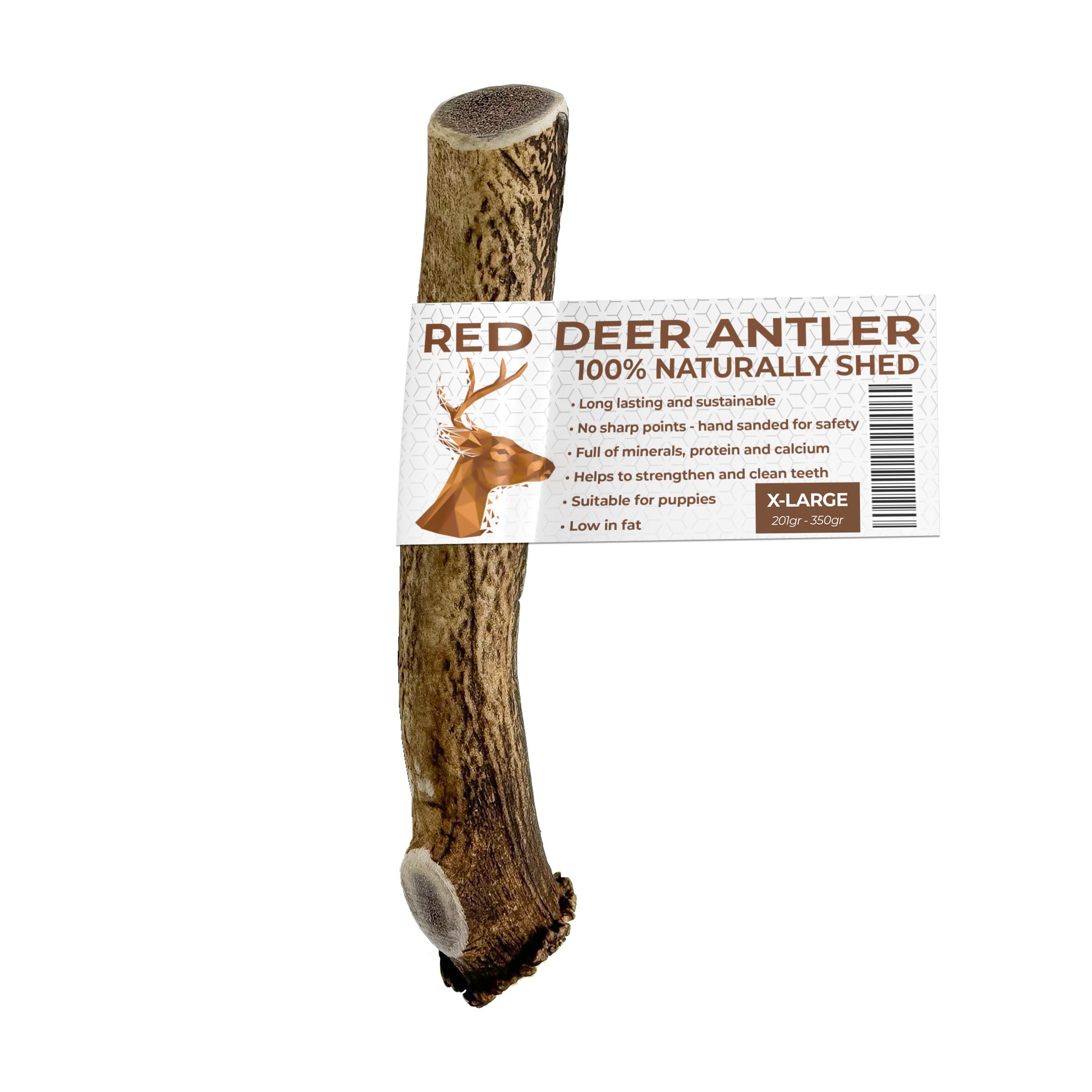 Antlers for Dogs EXTRA LARGE, Sustainable, Naturally Shed, Dog Treats, Dog Antler, Deer Antlers for Dogs