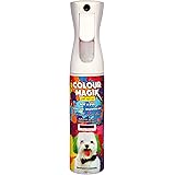 non toxic pet safe paint