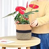 tenn well 20cm Cotton Plant Pot with Liner Indoor Planter Woven Storage Basket view 7
