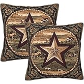 Droerfes Texas Star Throw Pillow Covers Set of 2 Couch Pillow Case Decoration Cushion Covers for Sofa Home Living Room Bedroom Outdoor 18X18 Inch