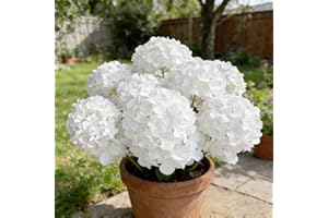 7 Bunchs Spring Porch Refresh Hydrangea, Realistic UV Resistant, Artificial Outdoor Hydrangea for Kitchen Table, Courtyards P